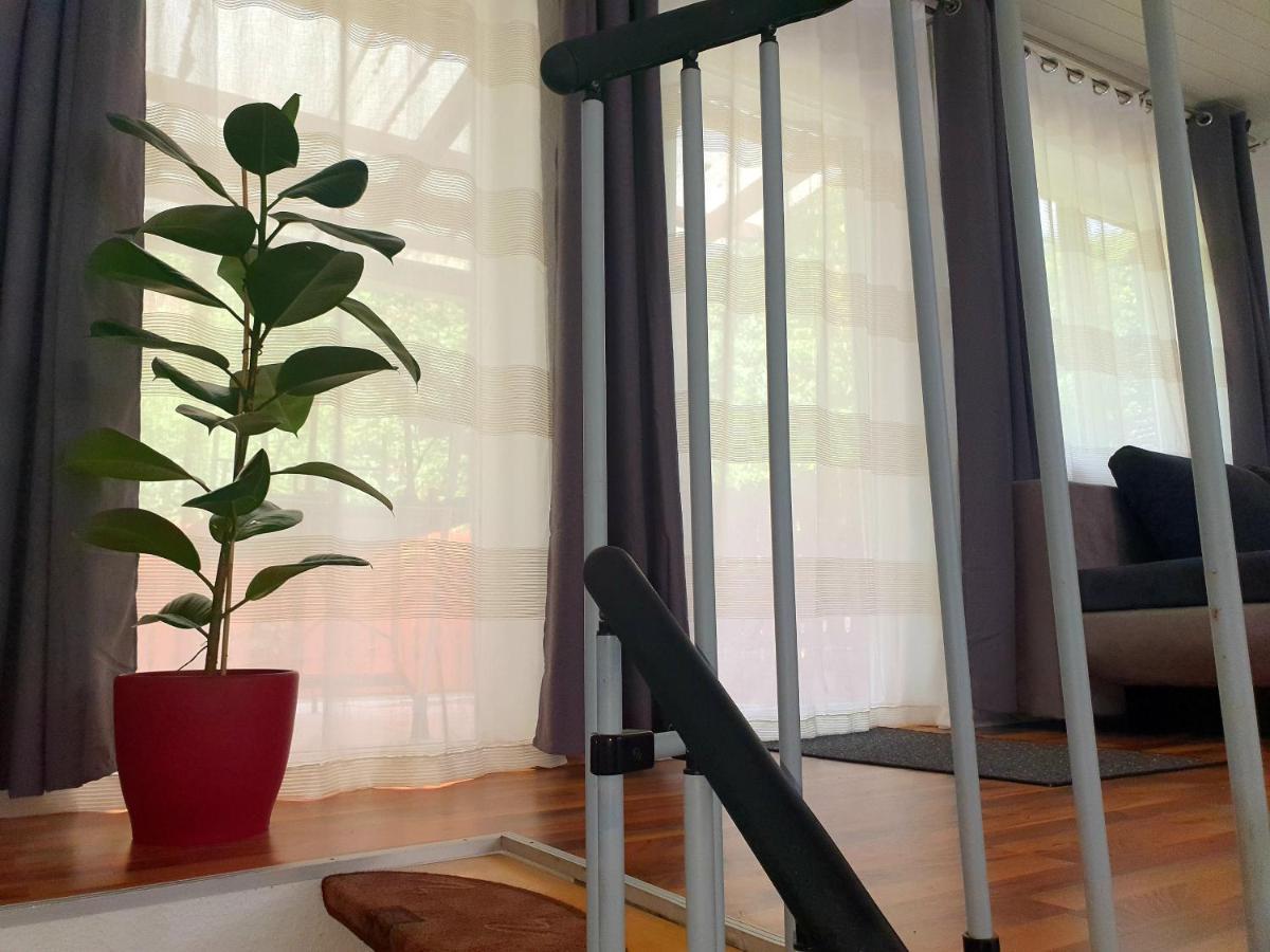 Haus Damian Apartment ทราเบิน-ทราร์บาค ภายนอก รูปภาพ